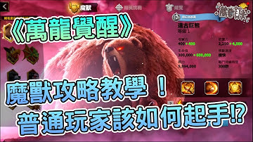 《萬龍覺醒》魔獸攻略教學!普通玩家該如何起手!? | 熊哥貝卡