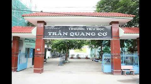 Báo cáo tổng kết năm học 2019 - 2020