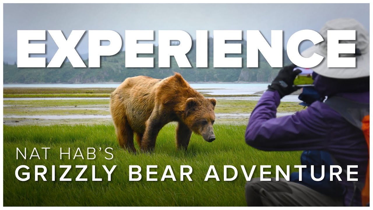 Up Close with Grizzly Bears: Nat Hab's Grizzly Ship Experience