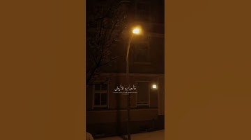 القارئ عبدالرحمن مسعد