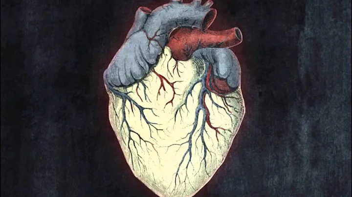 Alice in Chains - Lesson Learned