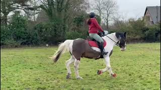 Alice Phillips on Too Much Colour E-riders Intro 1F February 2026