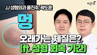 멍이 오래가는 체질은? (ft.성형 회복 기간) / 제이제이성형외과 홍진주, 곽도훈