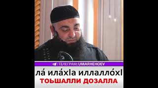 УМАР ХЕХОЕВ ЛА ИЛАХ1А ИЛЛАЛЛОХ1 ТОЬШАЛЛИ ДОЗАЛЛА ХЬЕХАМ