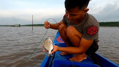 38 . Giăng Câu Cá Và Món Ngon Mẹ Gửi Cho ( Thái Ngọc Cần Giờ )