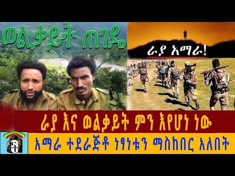 ቪዲዮ: ይህንን ስብሰባ ለማደራጀት?