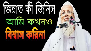 জিন্নাত কী জিনিস আমি কখনও বিশ্বাস করি না বাংলা ওয়াজ  Hazrat Mawlana Yousuf Ali Saheb  bangla waz