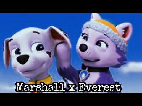 Marshall x Everest | Cuando dicen que Marshall x Everest no Existe #pawpatrol #edit #loverstory