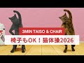 椅子に座りながらでもOK!やさしい猫体操2026😸