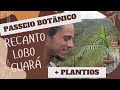 Tour pelo Recanto Lobo Guará 