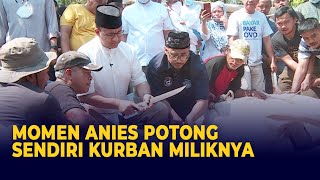 Detik-detik Anies Potong Sendiri Kurban Sapi 1 Ton Miliknya: Diajari Ayah Sejak Kecil