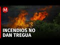 En lo que va de junio, se han reportado 19 incendios en Puebla; 6 siguen activos