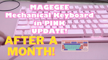 MAGEGEE MECHANICAL KEYBOARD UPDATE AFTER A MONTH (OR MORE) WITH GAMING MOUSE!