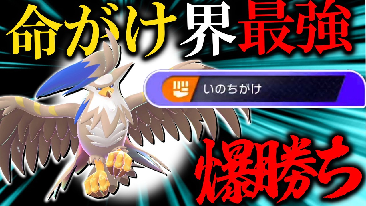 【命がけ界隈騒然】命がけメガムクホークがガチポケモンすぎる件について【ポケモンチャンピオンズ】