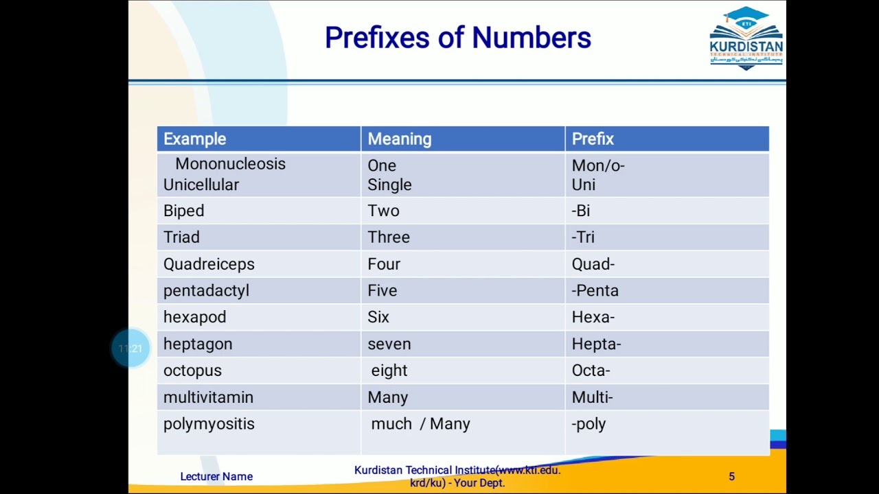 Common Medical Prefixes YouTube