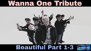 [TRIBUTE] Wanna One (워너원) - Beautiful Part 1-3 The Complete Story