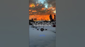 সূরা আল-আহযাব|Surah Al-Ahzab|মাদানি সূরা | আয়াতঃ ৩৬| سورة الأحزاب |মন খারাপের দিনে তেলোয়াত শুনুন🙂