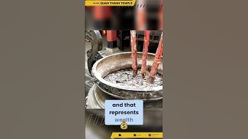 What Does the Turtle Symbolize? Cultural Meanings and Significance