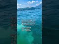 昔ながらの自然葬　大分で海洋散骨