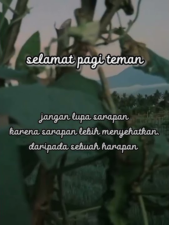 selamat pagi story 30 detik #storywa#status#story2022