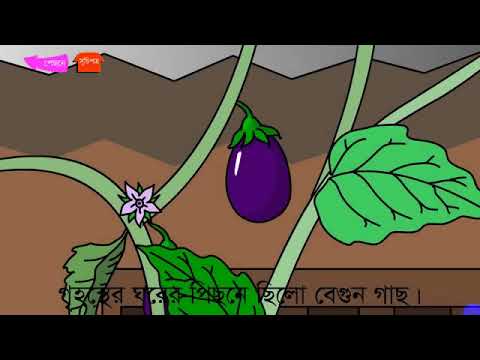 ভিডিও: বিড়ালগুলিতে বেদনাদায়ক পেট