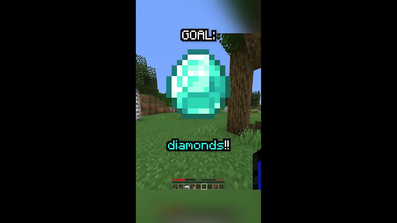 Minecraft But If I Tell The TRUTH Video Ends 