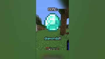 Minecraft, But If I Tell The TRUTH The Video Ends...