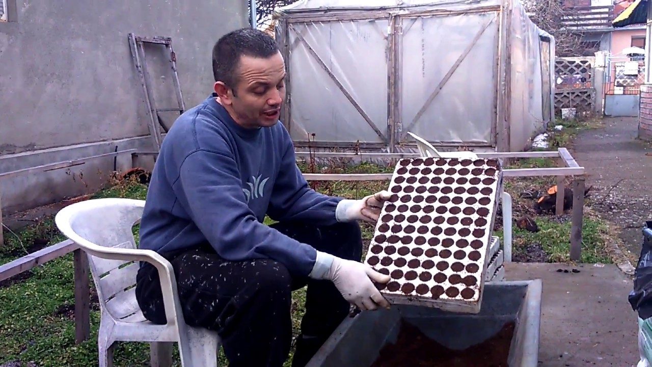 Priprema zemljišta za sadnju semena