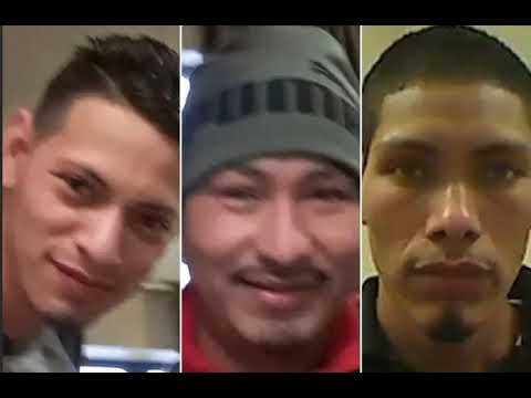 Elder, Wilmer, And Raul Paz-Perez