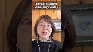 A reed #art installation on #birds #migration route: killer? #nature #life