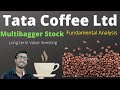 Tata Coffee Ltd || Fundamental Analysis || Multibagger stock || Best Beverage Stock || Coffee Stock