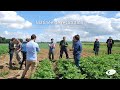 Restitution des alternatives aux pesticides : pomme de terre et légumes plein champ - PARTIE 2