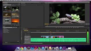 Trakuş Adobe Premiere Eğitimi