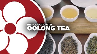 What is Oolong Tea?