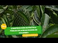 Construcción de política pública de agroecología en Colombia- TvAgro por Juan Gonzalo Angel Restrepo