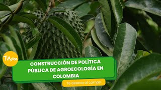 Construcción de política pública de agroecología en Colombia- TvAgro por Juan Gonzalo Angel Restrepo by TvAgro 623 views 1 day ago 24 minutes