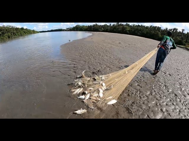 Chancla de Perro - Pescador y Atarraya. @buena_pesca