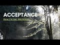 Cultivate Acceptance   Guided Meditation