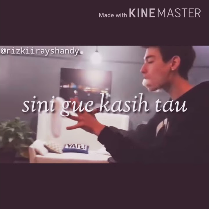 Story WA||Pas kenal cinta jadi bego