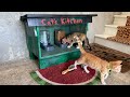 How to build a cat feeder, DIY.