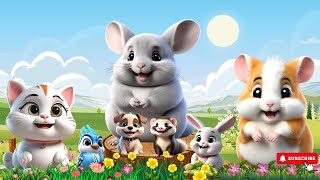 Cute Little Animals: Cat, Hamster, Chinchilla, Puppy, Ferret, Rabbit, Bird | Animal Sounds