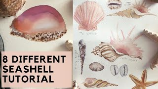 SEASHELL WATERCOLOR TUTORIAL FOR BEGINNERS | 8 seashells watercolor tutorial