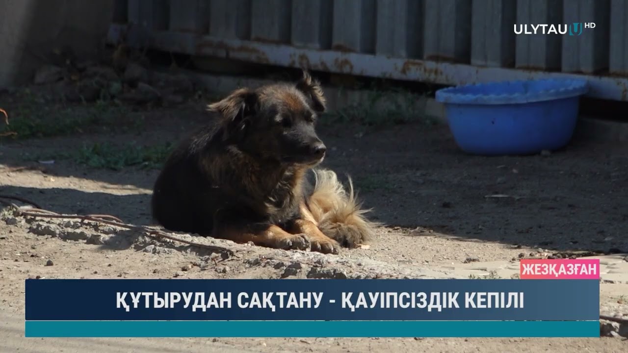 ҚҰТЫРУДАН САҚТАНУ ҚАУІПСІЗДІК КЕПІЛІ