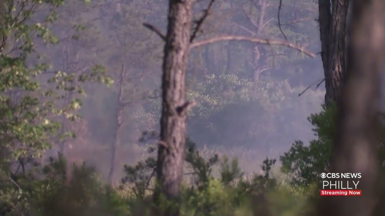 Massive Forest Fire In New Jersey Burns At Least 12,000 acres, Now 70