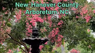 New Hanover County Arboretum Wilmington NC