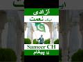 Happy Independence Day | Sameer Ch | 14 August | Azadi Mubarak | Nile Consultant #nileconsultant