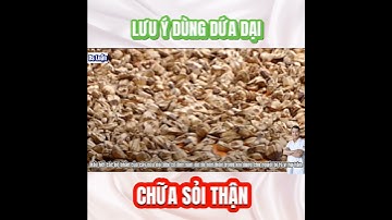 Lưu ý khi dùng cây dứa dại chữa bệnh|Trần văn luận Official #shorts