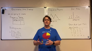 Quantitative Data Displays