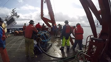 Recovery of Coastal Endurance Oregon Inshore Surface Mooring (CE01ISSM)