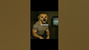 Never Ever Trust Dog Man Late At Night #scary #shorts #creepy